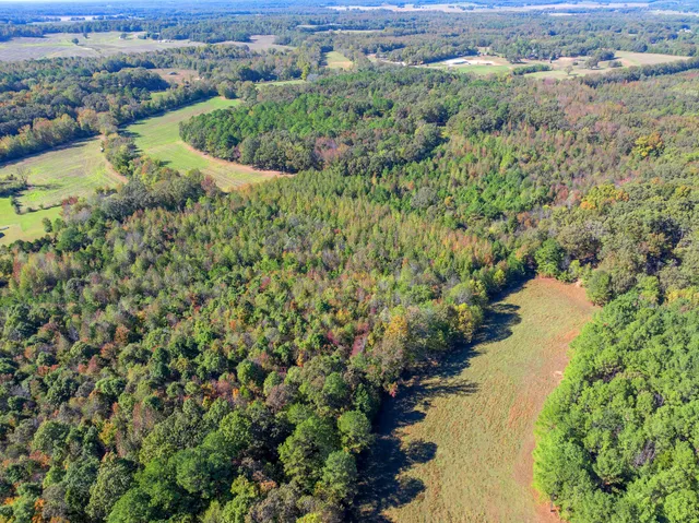 an aerial view of a houses with yard