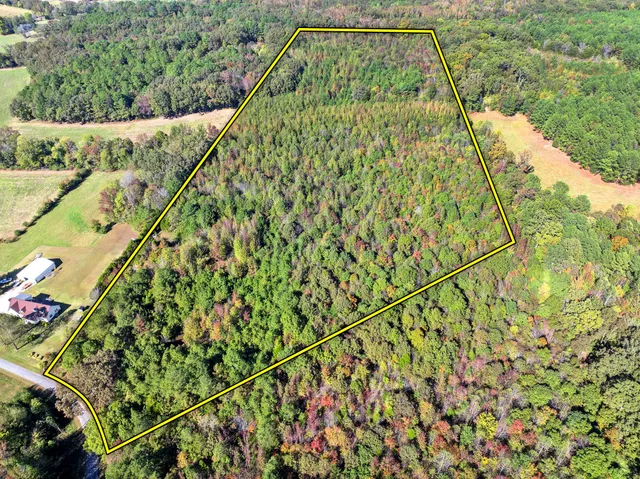 a view of yard with green space