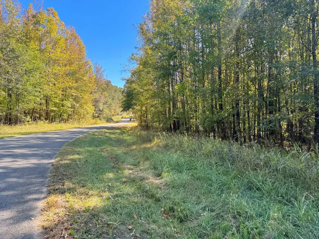 a view of yard with swimming pool and trees
