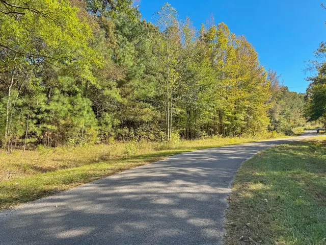 a view of a yard with a tree