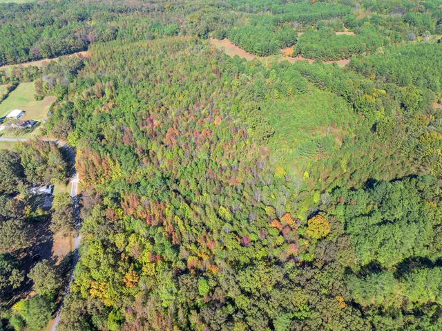a view of a yard with a tree