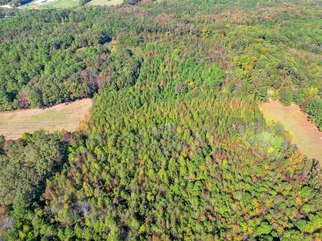 an aerial view of residential houses with outdoor space and trees