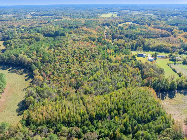 a view of a bunch of flowers and bushes