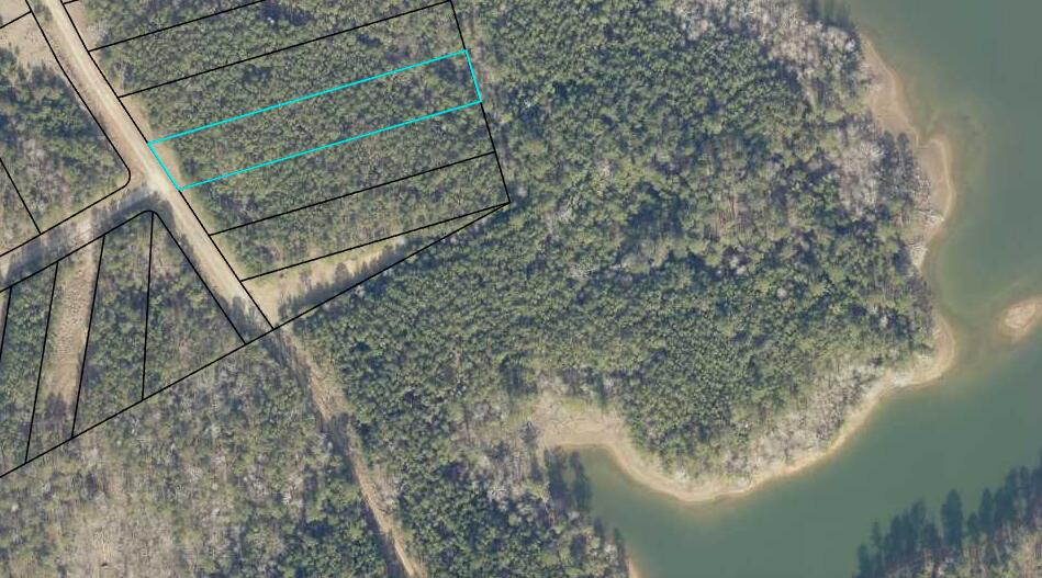 1066 Clinton-Williams Road Lincolnton, GA 30817 - Photo 3 of 5 Lot 11 Ariel Tax shot