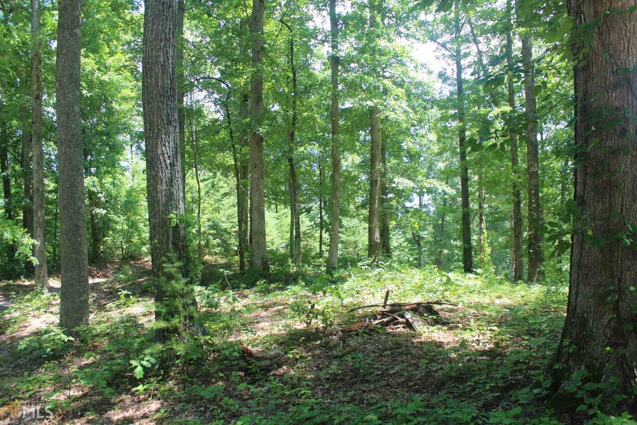 0 Redbud Road, Unit 11 Hiawassee, GA 30546 - Photo 1 of 1 Gallery Image 1