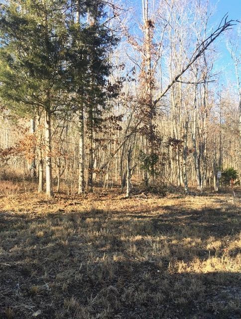 4443 Parker Loop Road Birchwood, TN 37308 - Photo 7 of 9 Gallery Image 7