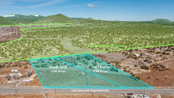 a view of a lush green field with mountains in the background