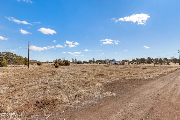 a view of a dry yard with trees