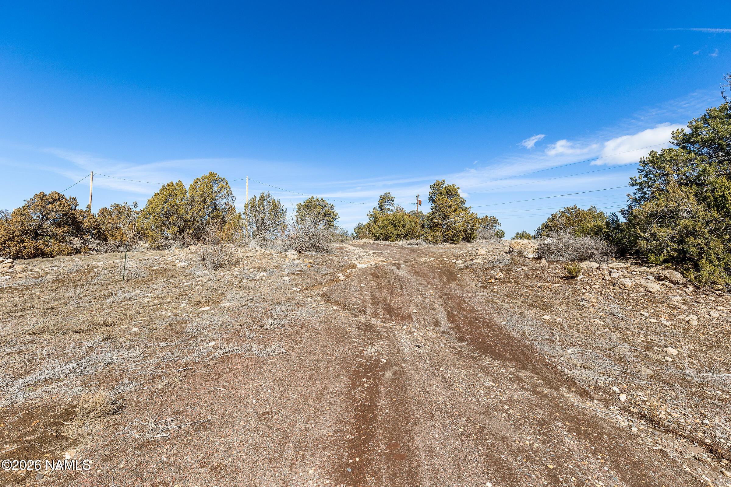 10055 Townsend-Winona Road Flagstaff, AZ 86004 - Photo 19 of 24 a view of a dry yard with trees