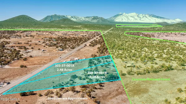 a view of a field with an ocean view