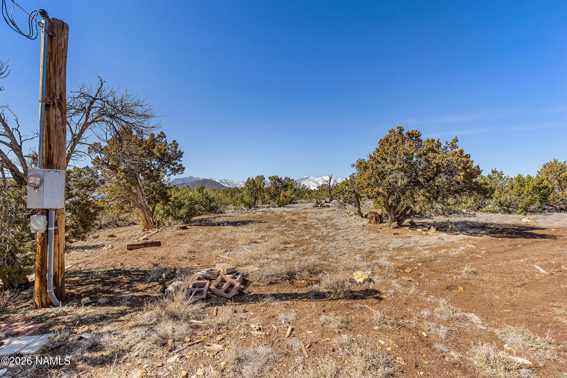 10055 Townsend-Winona Road Flagstaff, AZ 86004 - Photo 21 of 24 a view of a yard with a tree