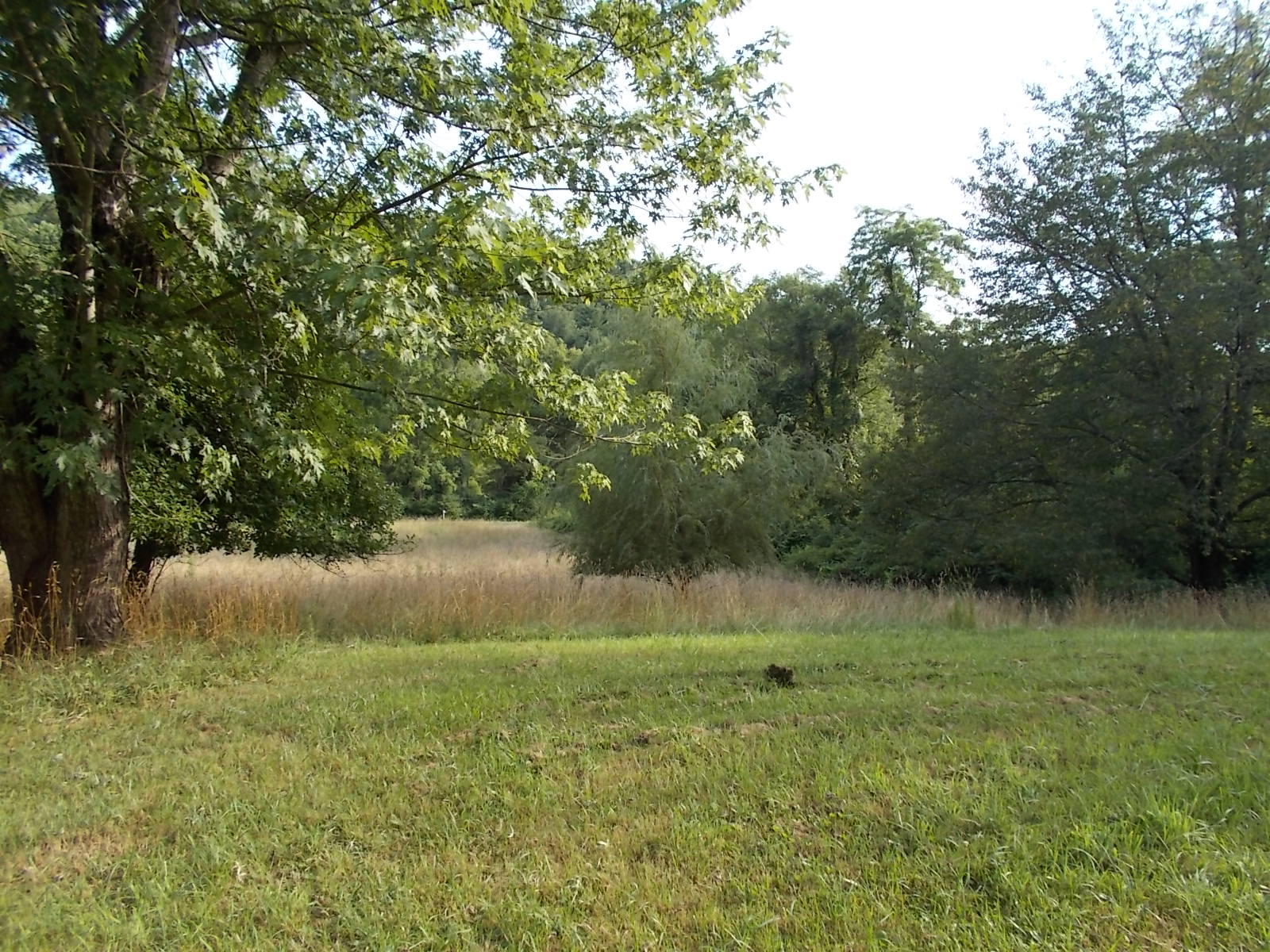 8974 Pine Forest Road Northeast Copper Hill, VA 24079 - Photo 2 of 21 a view of outdoor space and yard