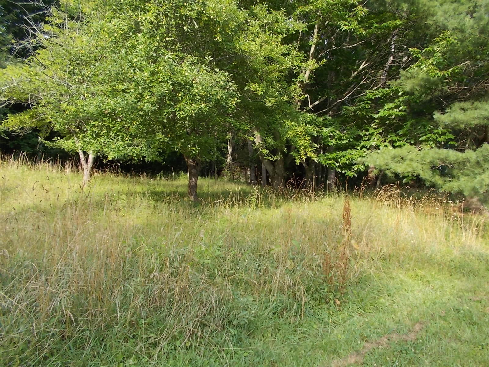 8974 Pine Forest Road Northeast Copper Hill, VA 24079 - Photo 9 of 21 a view of a lake view
