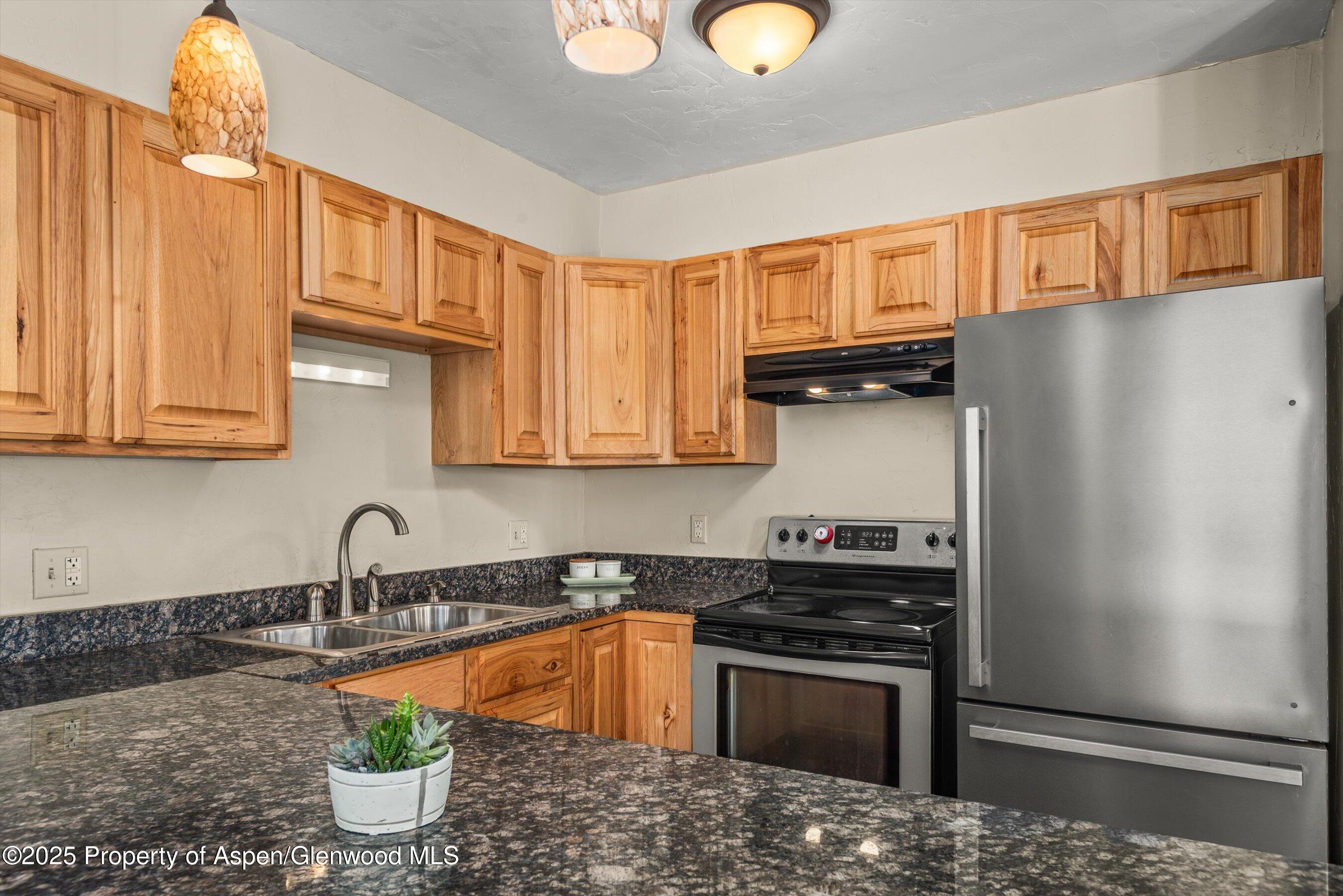 718 Main Street Carbondale, CO 81623 - Photo 7 of 27 a kitchen with stainless steel appliances granite countertop a refrigerator sink and stove