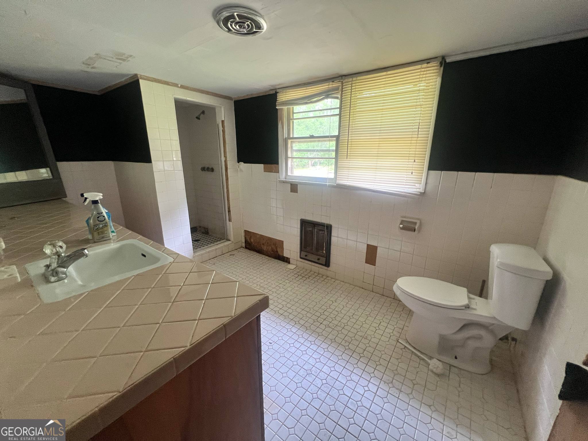 1165 Jaybird Springs Road Chauncey, GA 31011 - Photo 15 of 43 a bathroom with a sink a toilet and mirror