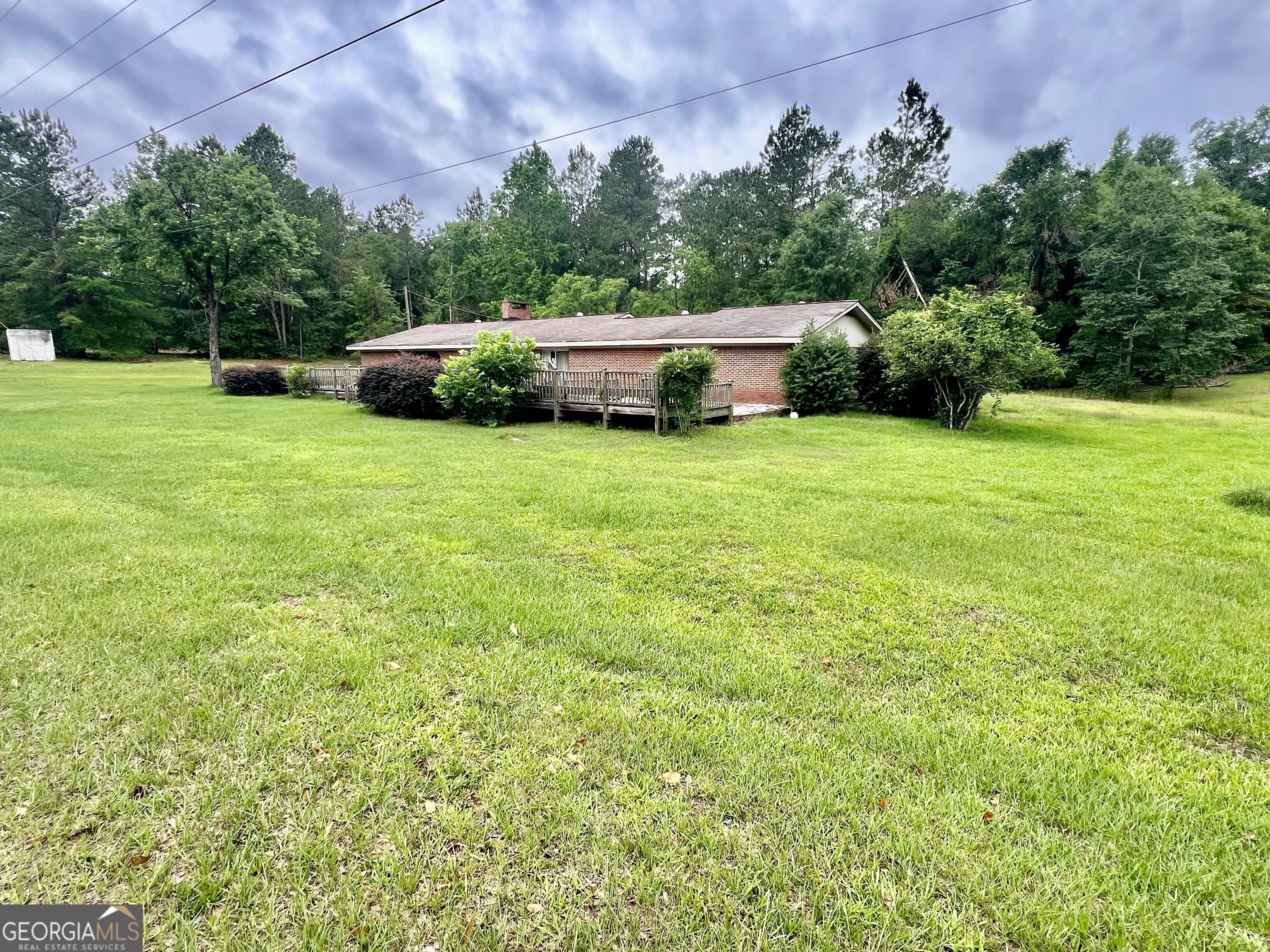 1165 Jaybird Springs Road Chauncey, GA 31011 - Photo 43 of 43 a garden view