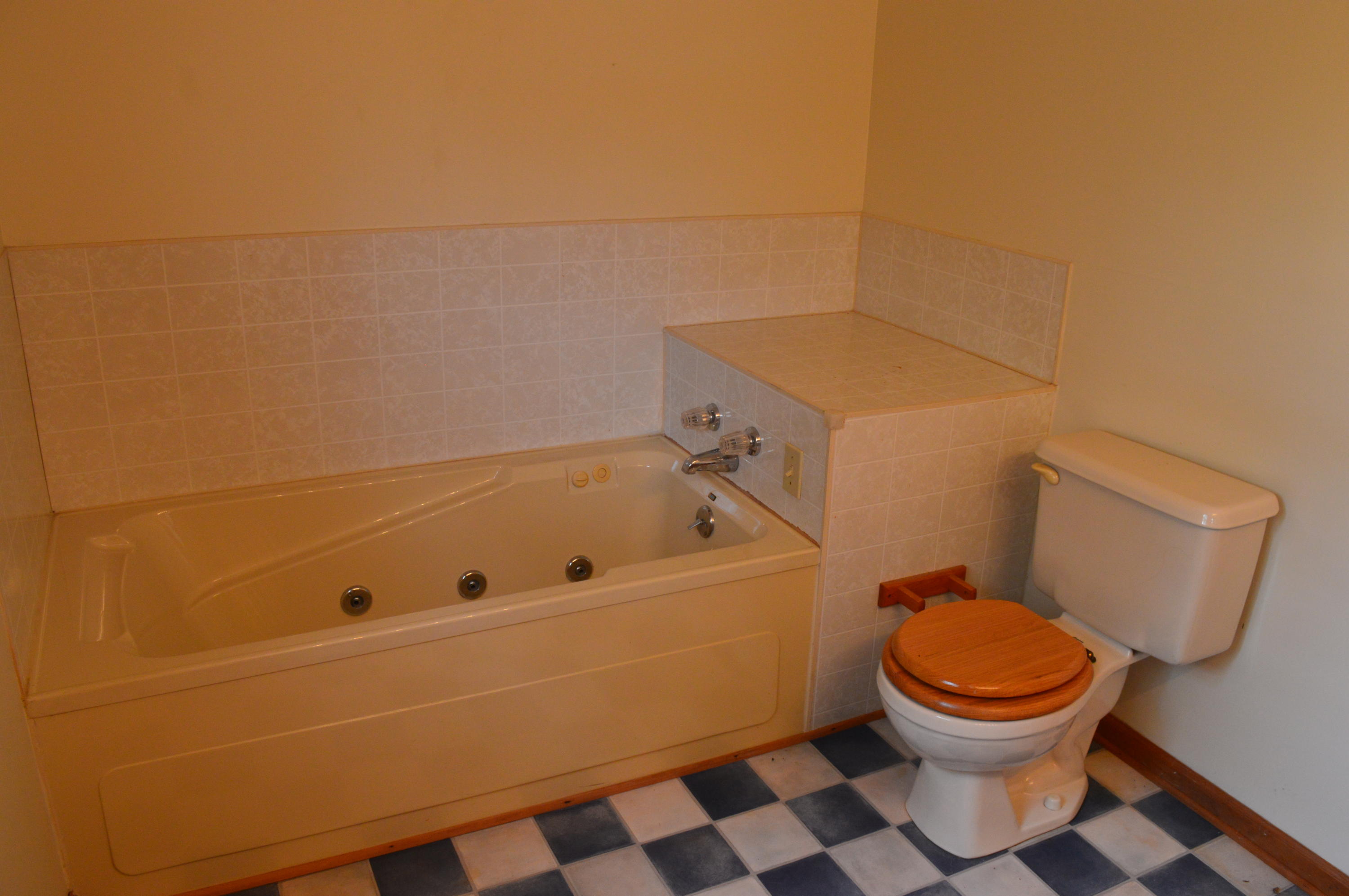 8745 Callands Road Chatham, VA 24531 - Photo 34 of 37 a bathroom with a toilet and a shower