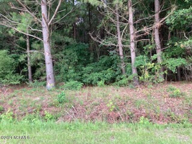 0 Waycross Road Turkey, NC 28393 - Photo 2 of 5 Waycross Timber