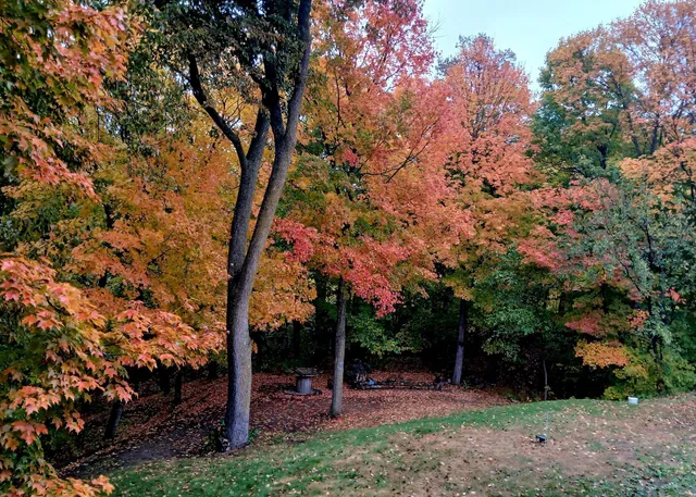 $499,000 | 1380 90th Street Southwest, Alexandria, MN 56308