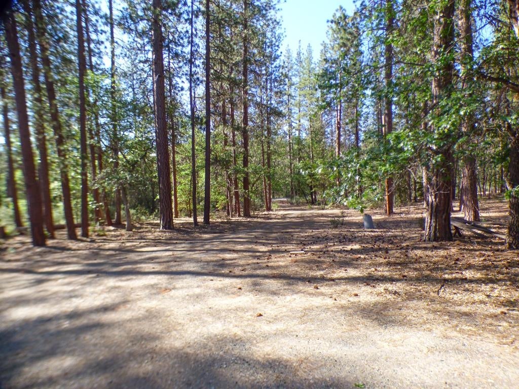 5725 Scott River Road Fort Jones, CA 96032 - Photo 25 of 25 Gallery Image 25