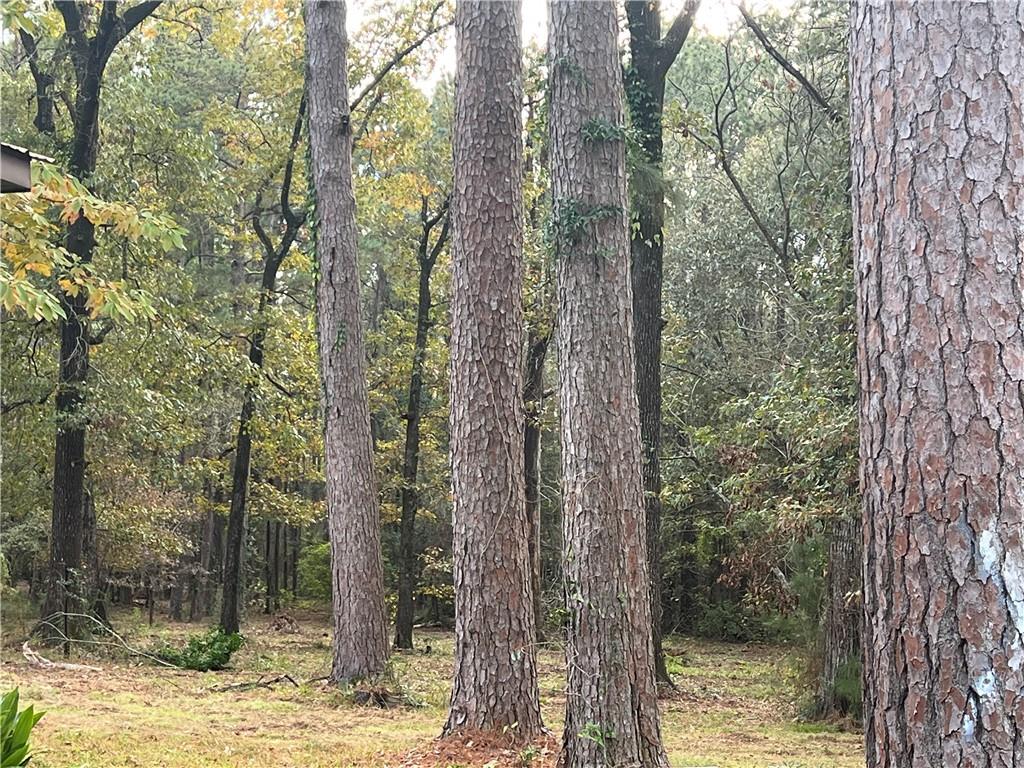 415 Timber Road Pineville, LA 71360 - Photo 1 of 17 Gallery Image 1
