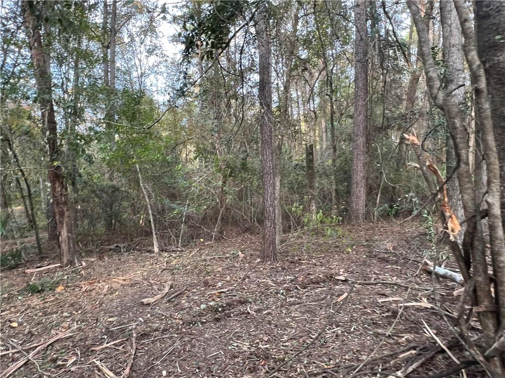 415 Timber Road Pineville, LA 71360 - Photo 14 of 17 Gallery Image 14