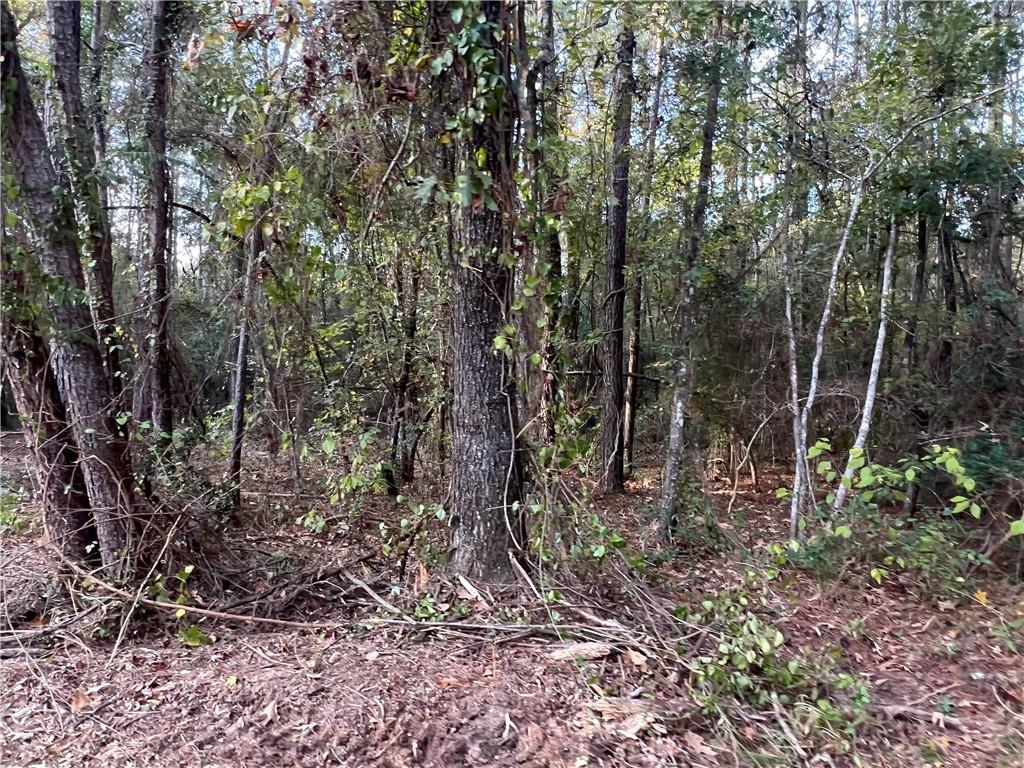 415 Timber Road Pineville, LA 71360 - Photo 3 of 17 Gallery Image 3