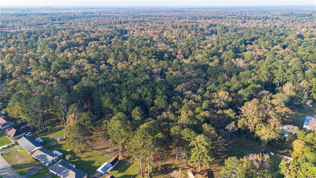 415 Timber Road Pineville, LA 71360 - Photo 5 of 17 Gallery Image 5