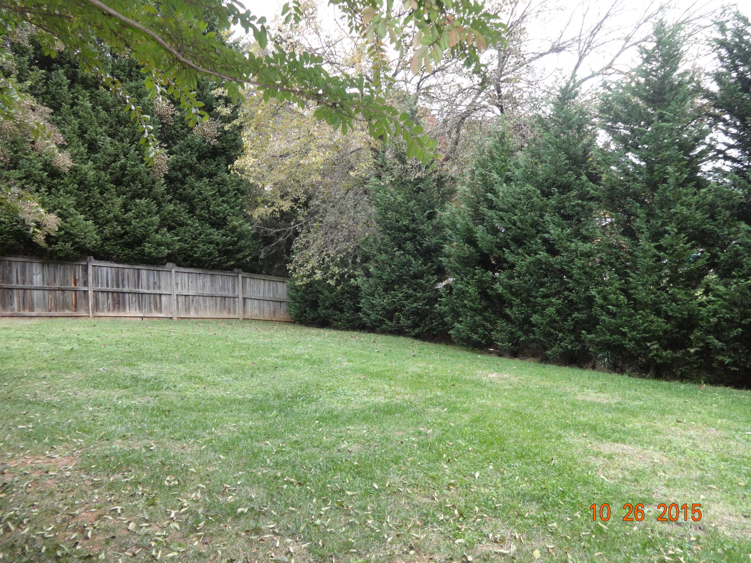 2263 Countryside Road Northwest Roanoke, VA 24017 - Photo 3 of 12 BACK YARD