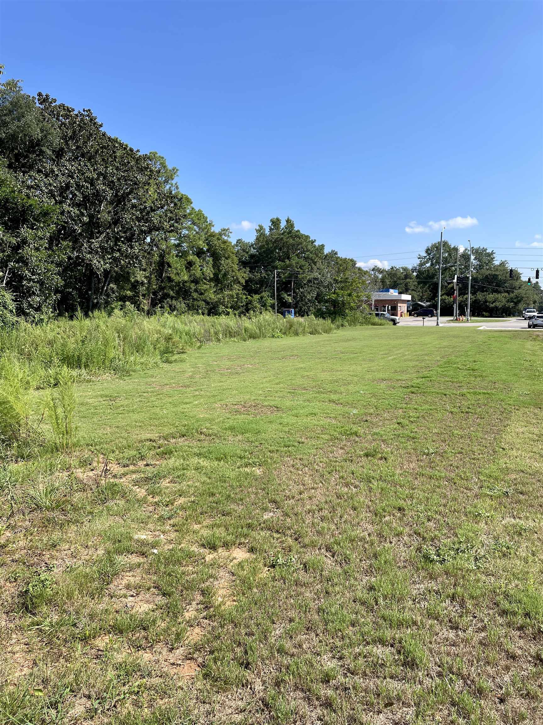 14745 Highway 98 Foley, AL 36535 - Photo 8 of 13
