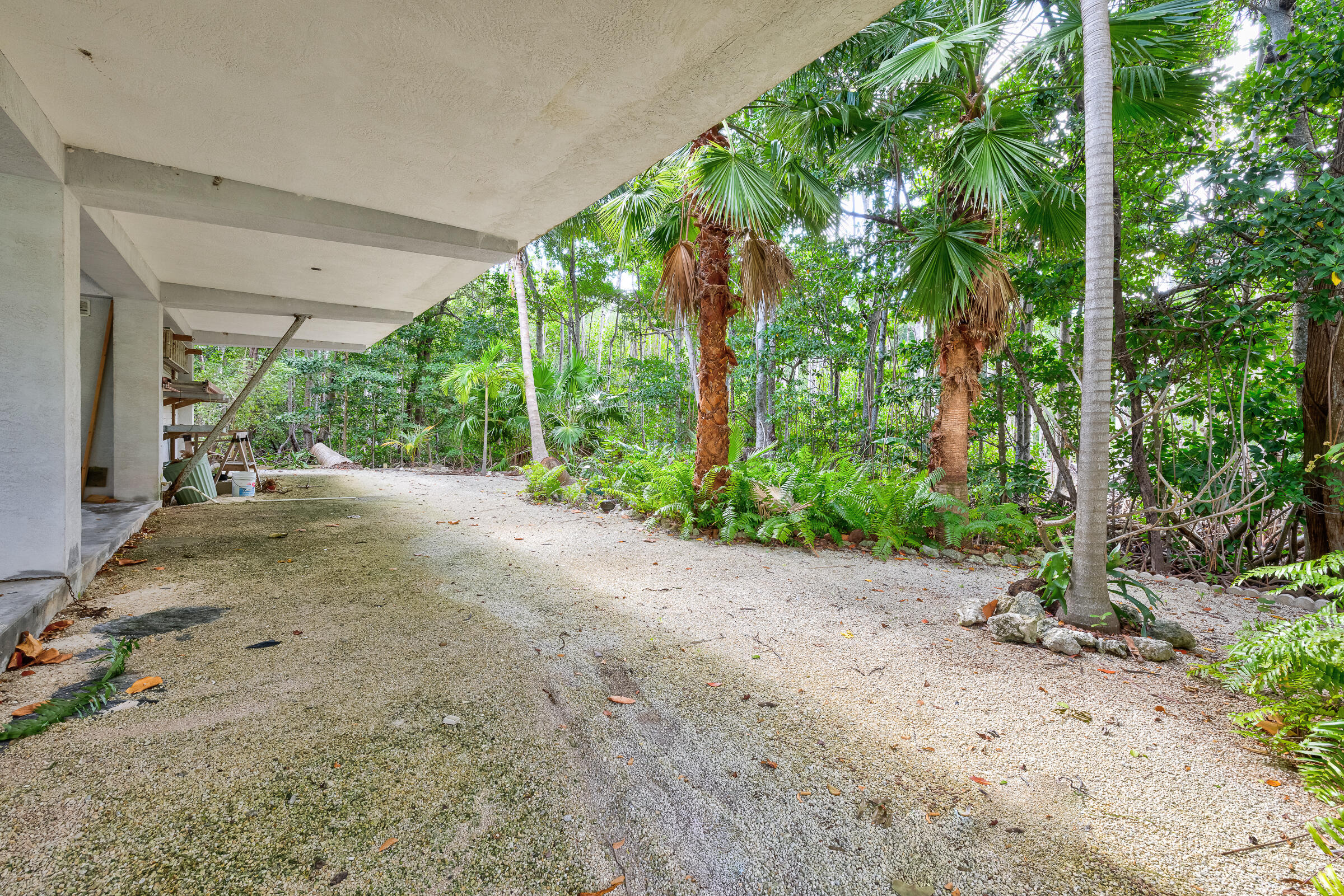 132 Galleon Road Islamorada, FL 33036 - Photo 33 of 38 a view of a road with plants and large trees