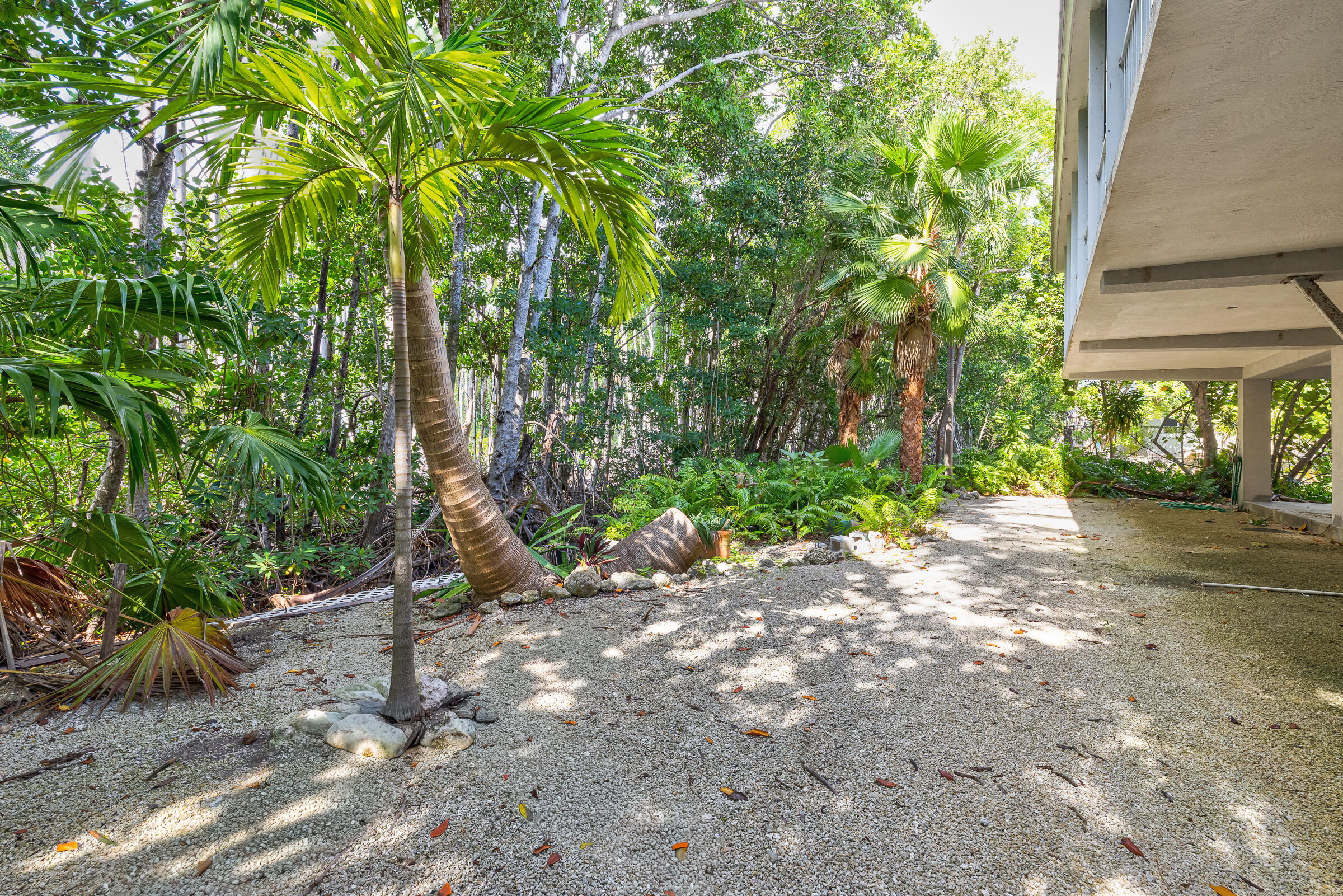 132 Galleon Road Islamorada, FL 33036 - Photo 35 of 38 a backyard of a house with lots of green space