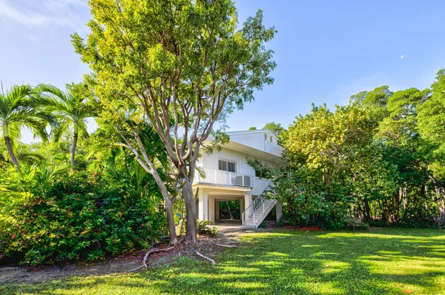 a view of a house with a small yard and a large tree