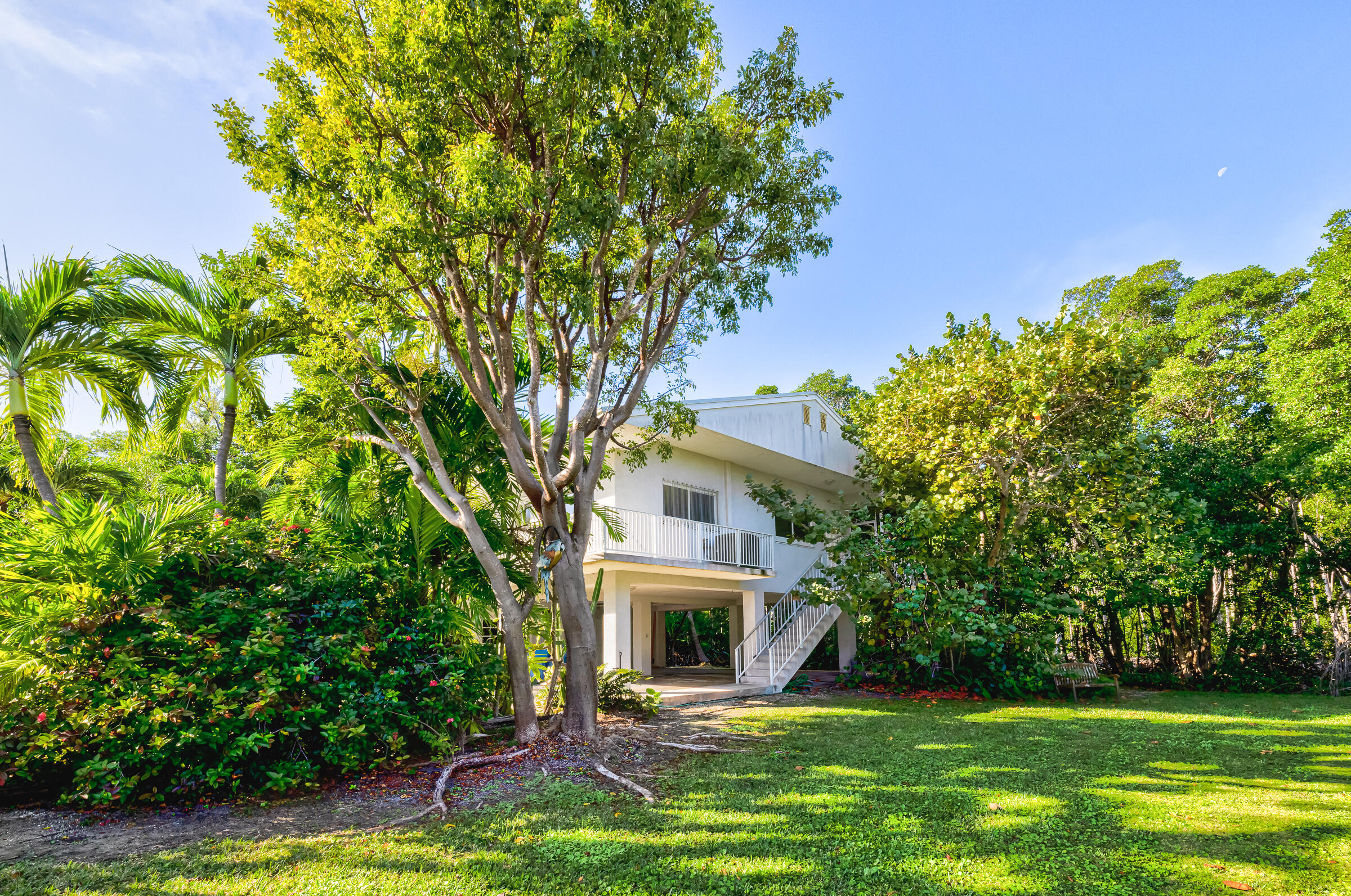 132 Galleon Road Islamorada, FL 33036 - Photo 5 of 38 a view of a house with a small yard and a large tree