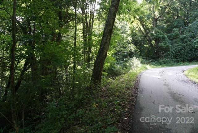 Tbd Rocky Mountain Road Boone, NC 28607 - Photo 1 of 10 Gallery Image 1