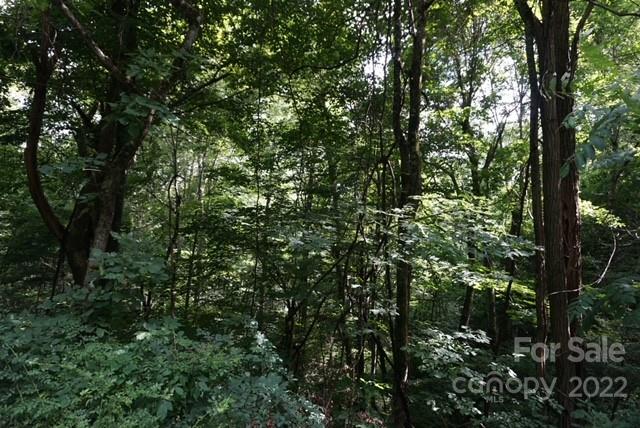 Tbd Rocky Mountain Road Boone, NC 28607 - Photo 2 of 10 Gallery Image 2