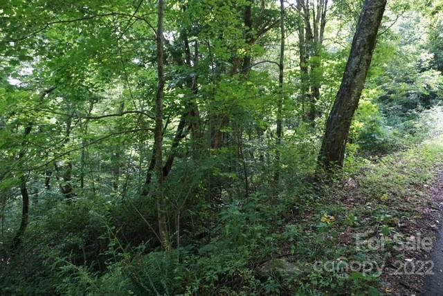 Tbd Rocky Mountain Road Boone, NC 28607 - Photo 4 of 10 Gallery Image 4