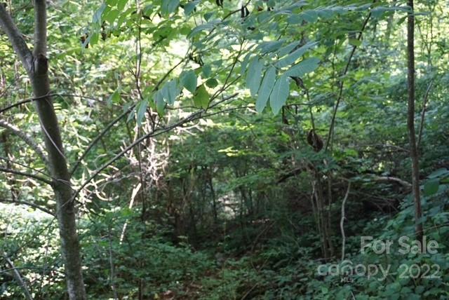 Tbd Rocky Mountain Road Boone, NC 28607 - Photo 5 of 10 Gallery Image 5