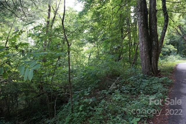Tbd Rocky Mountain Road Boone, NC 28607 - Photo 6 of 10 Gallery Image 6