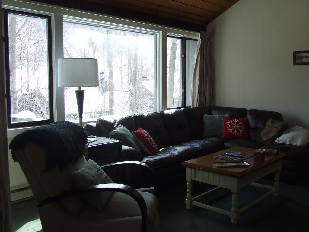 17 Whaleback Road, Unit 1 Lincoln, NH 03251 - Photo 4 of 9