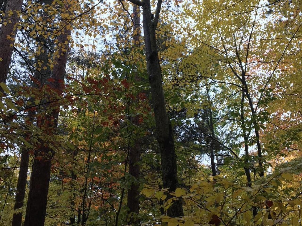 On Ridge View Drive Tomahawk, WI 54487 - Photo 10 of 10 Gallery Image 10