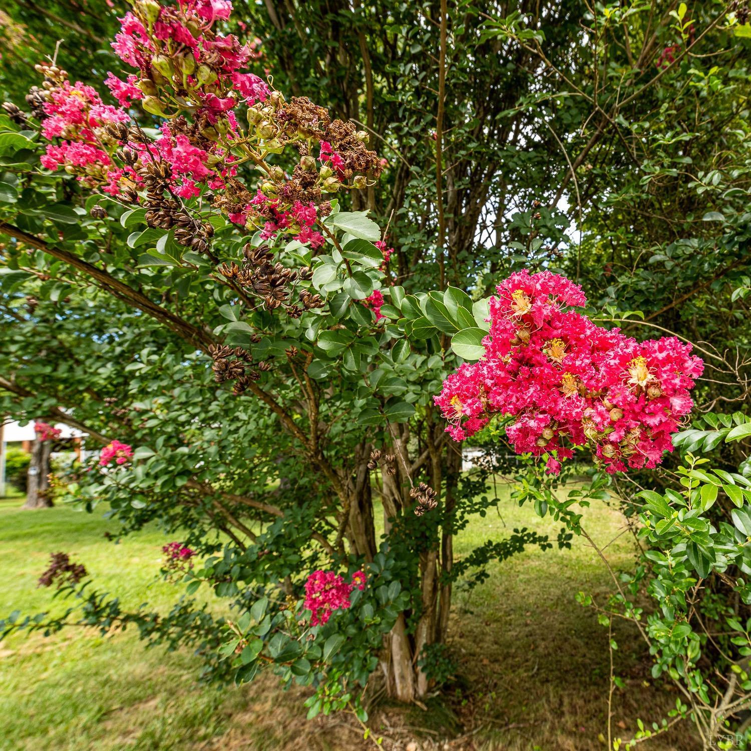 524 Winston Ridge Road Lynchburg, VA 24501 - Photo 51 of 60 Gallery Image 51