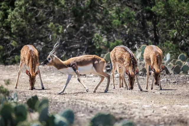 a backyard of a house with barbeque oven table and chairs