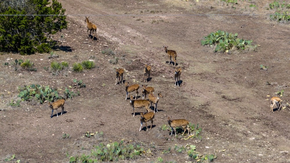 0 Hwy 377 Rocksprings Tx 78880 Rocksprings, TX 78880 - Photo 2 of 17 a view of a dry yard with chairs