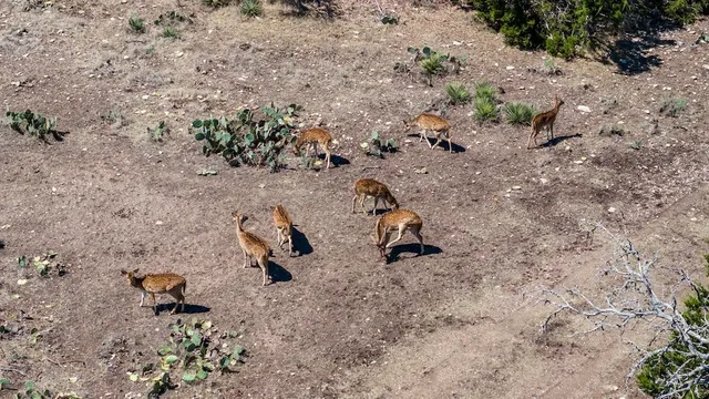 a view of a beach with a yard
