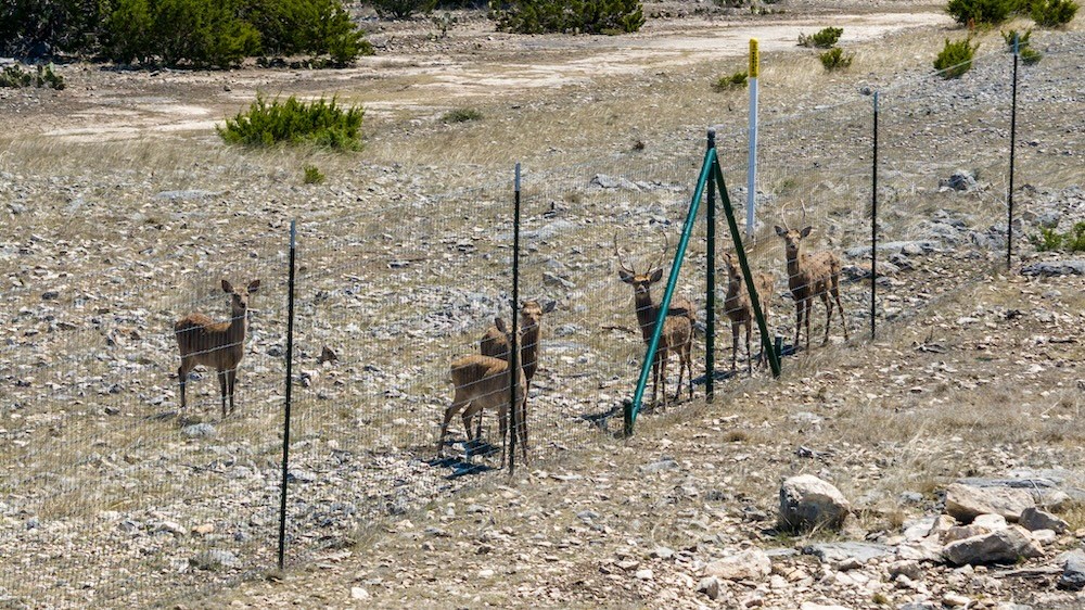 0 Hwy 377 Rocksprings Tx 78880 Rocksprings, TX 78880 - Photo 8 of 17 a view of a backyard of a house