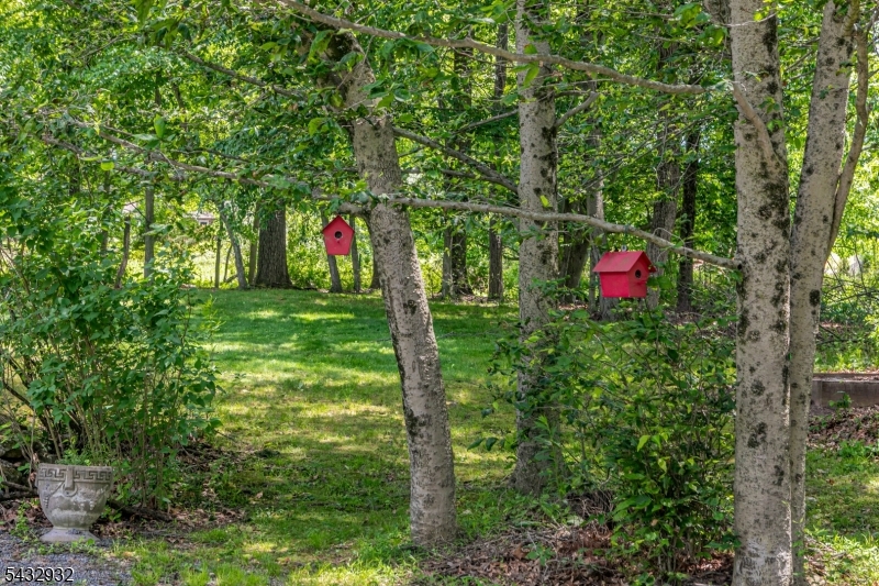 118 Worman Road Stockton, NJ 08559 - Photo 43 of 50