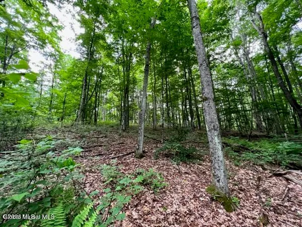 $44,000 | Lot 1 McGregor Road, Unit LOT 1, Gloversville, NY 12078