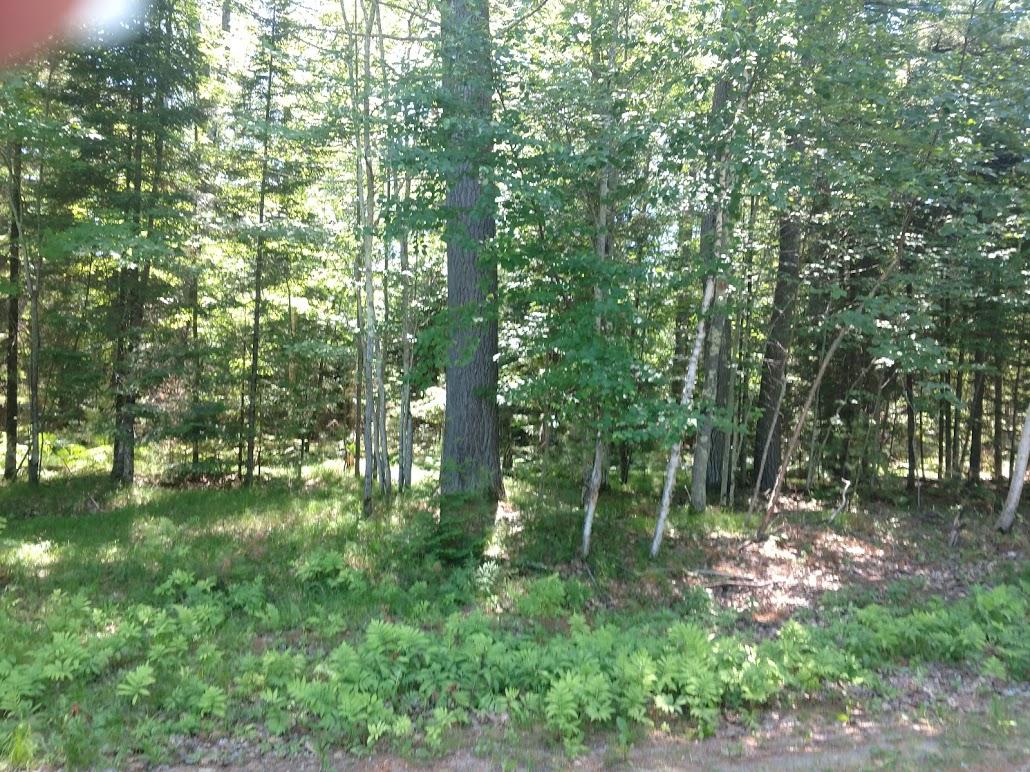 Lot 9 Tuckaway Road Woodruff, WI 54568 - Photo 1 of 2 Gallery Image 1