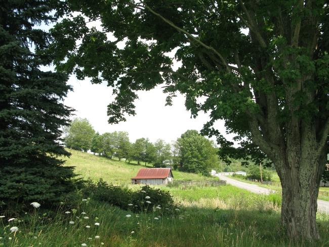101 Grassy Meadows Road Alderson, WV 24910 - Photo 3 of 40 View from original homestead